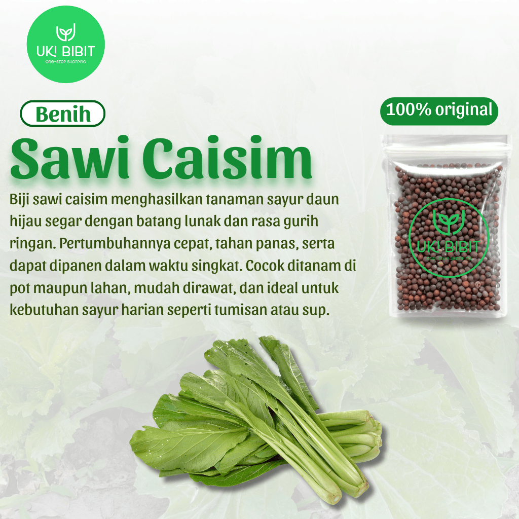 ( 1 Kg ) Benih Biji Sawi Caisim | Sawi Hijau | Sawi Cina