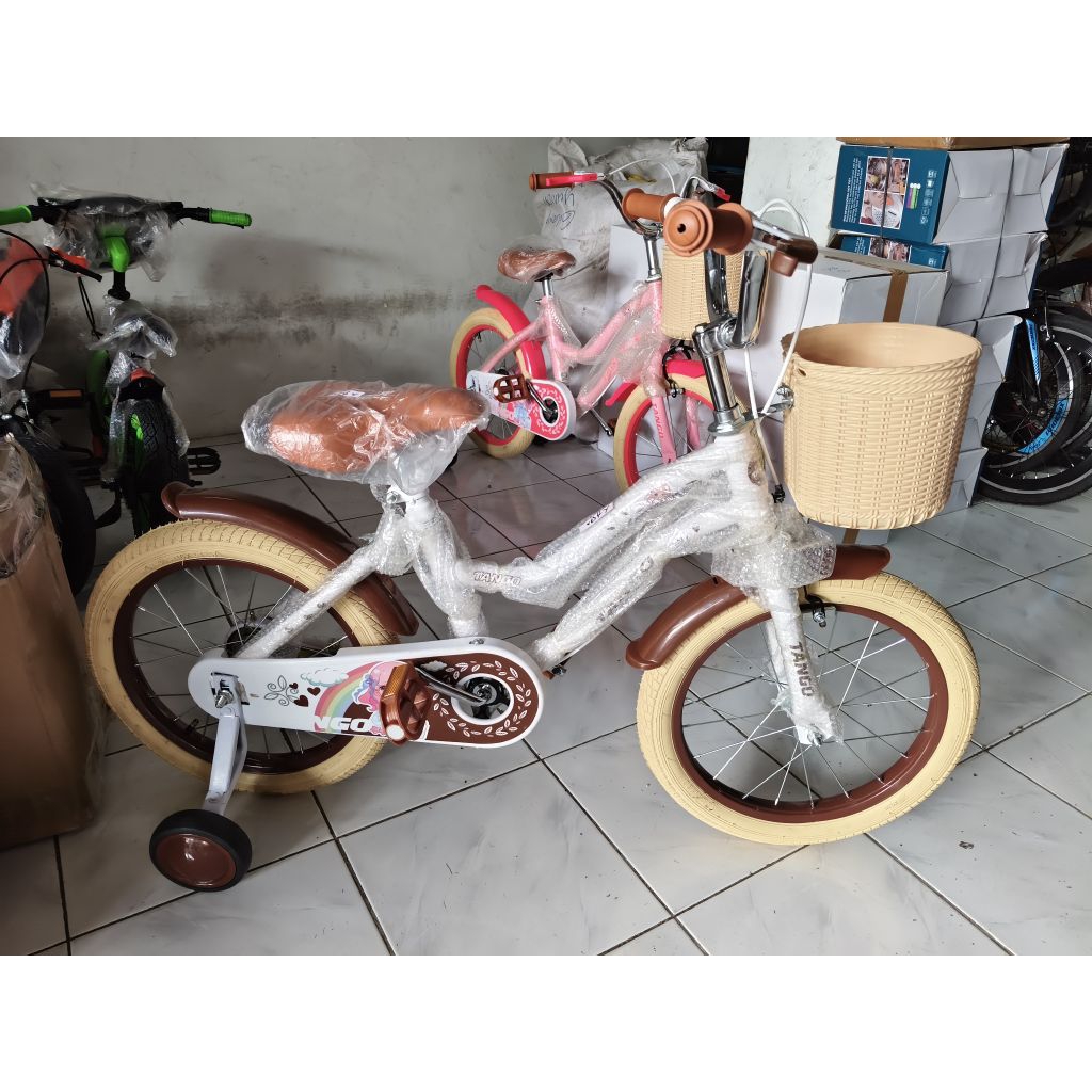 Sepeda Anak Mini 16 Tango Paster
