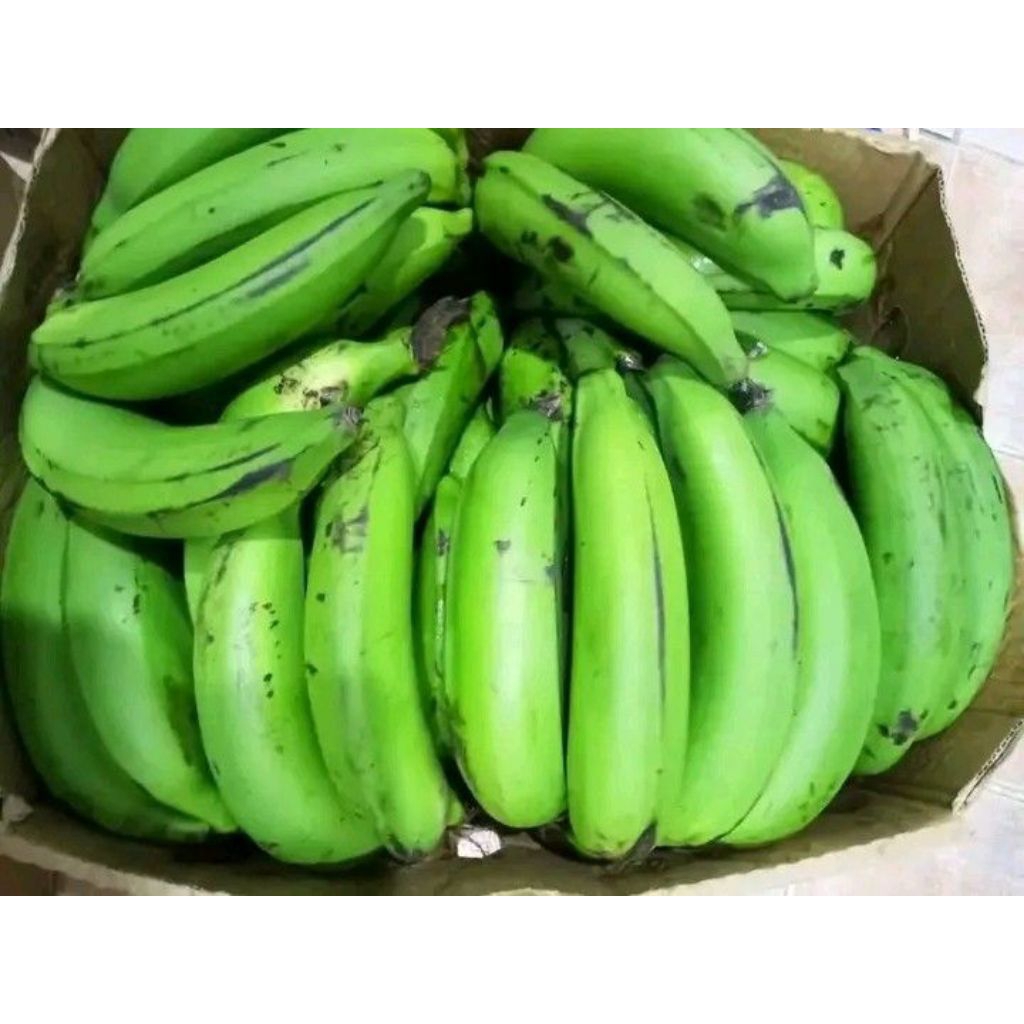 Buah pisang nangka 1 kg mentah buah pisang nangka