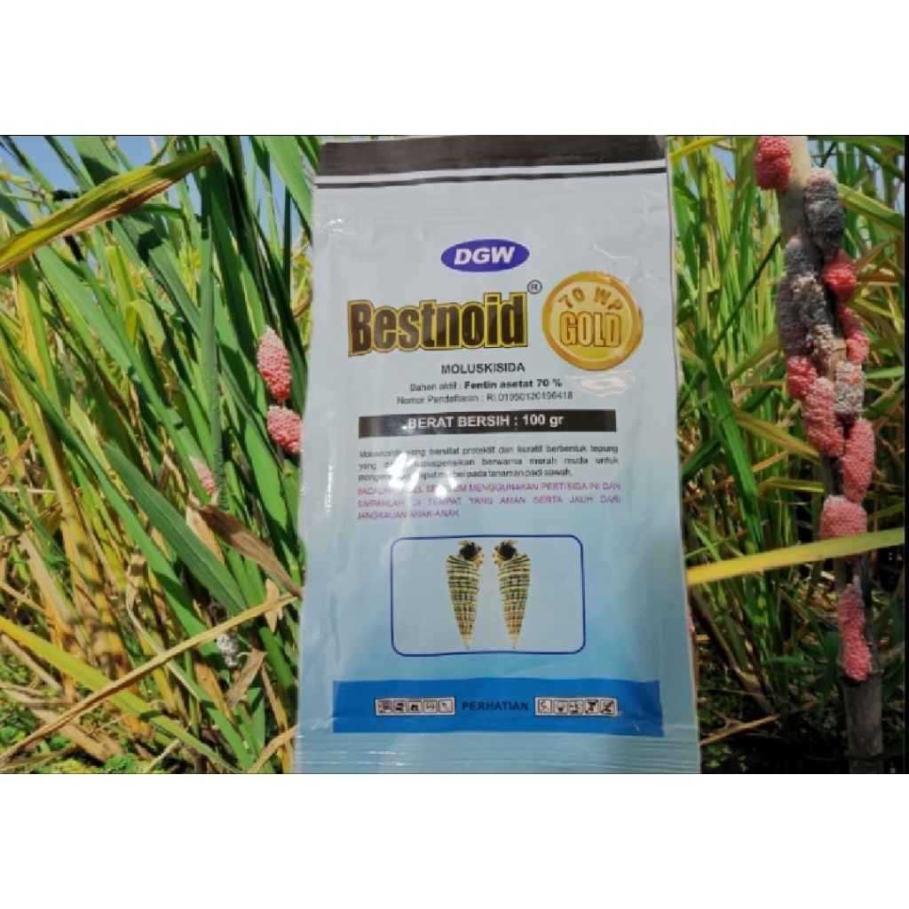 Bestnoid Gold 100gram