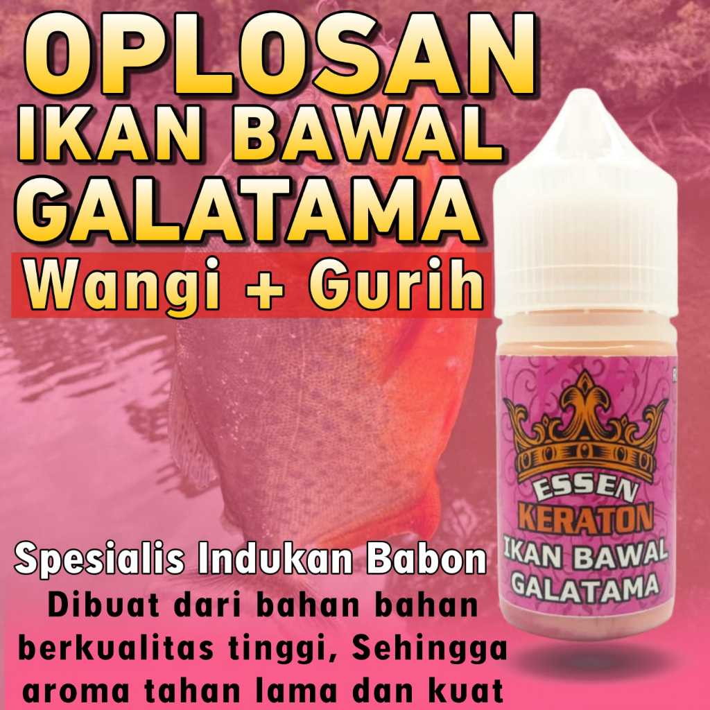 ESSEN SUPER PREMIUM IKAN BAWAL Lomba Harian Dan Galatama Indukan Paling Ampuh, Essen Oplosan Ikan Ba