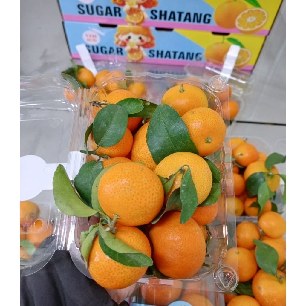 JERUK SANTANG MADU MANDARIN 1 KG
