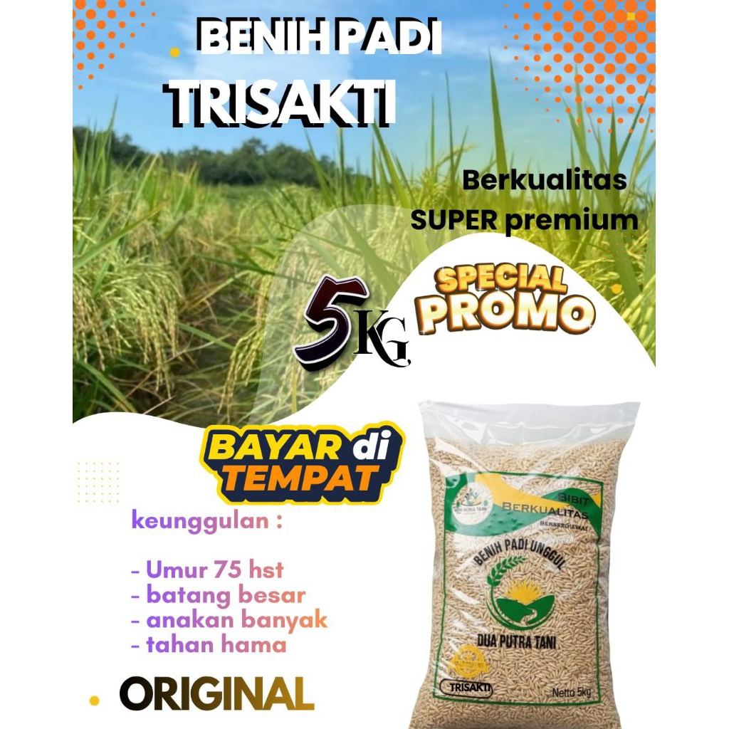 BENIH PADI TRISAKTI UMUR GENJAH 75HST 5KG
