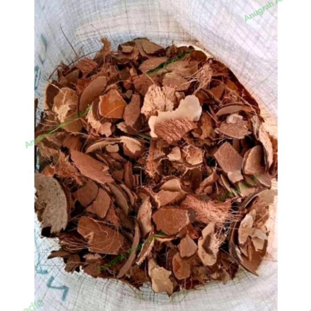 Batok kelapa kering cacah (berat 1kg) | batok kelapa untuk kerajinan, arang, bakarbakar