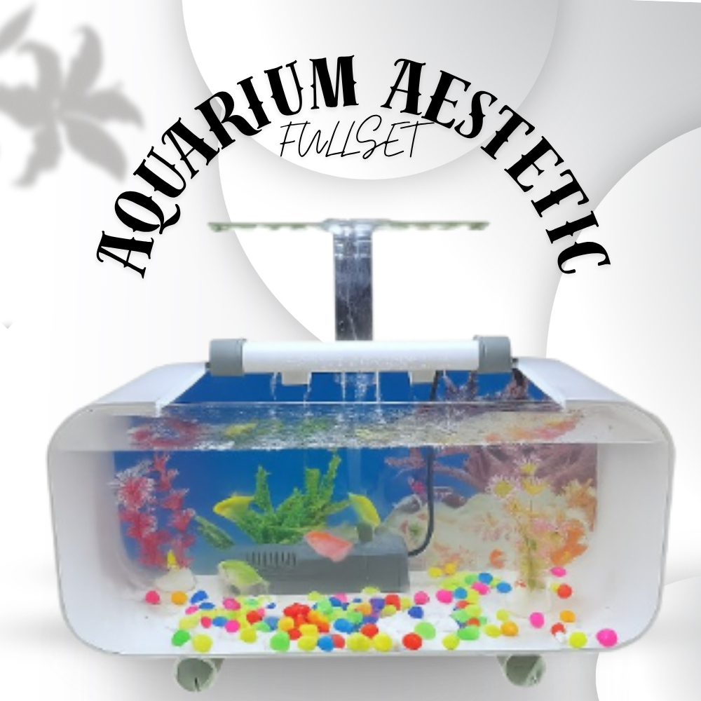 AQUARIUM MINIMALIS IKAN HIAS IKAN GUPY AESTETIK FULLSET SIAP PAKAI