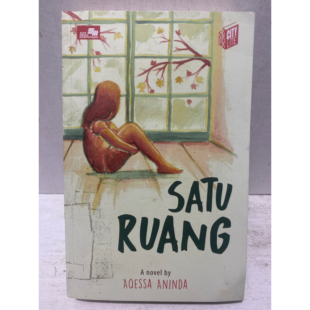 Buku Original SATU RUANG - AQESSA ANINDA