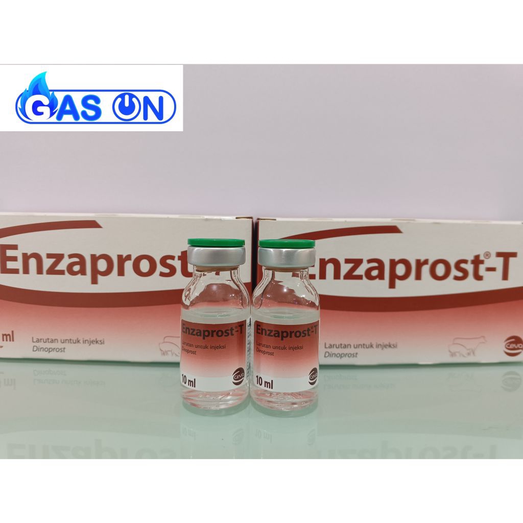 ENZAPROST-T HORMON PGF2A UNTUK SAPI DAN BABI 1 PACK ISI 5