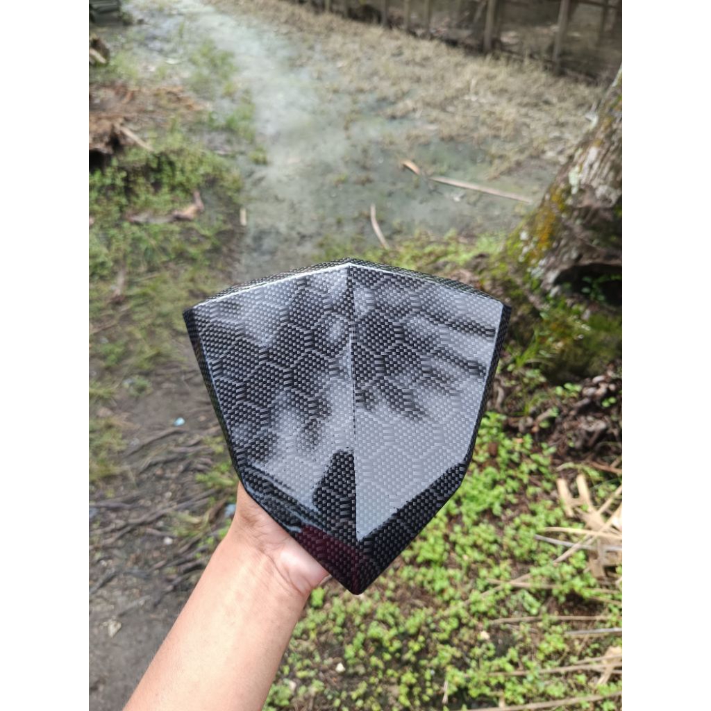 visor.vario old carbon