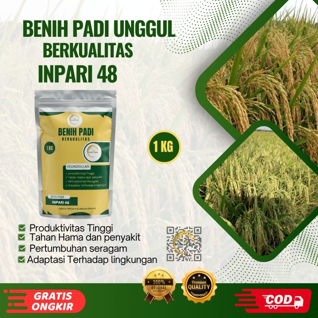 Benih Bibit Padi Unggul INPARI 48 Kemasan 1KG Kualitas Super Premium
