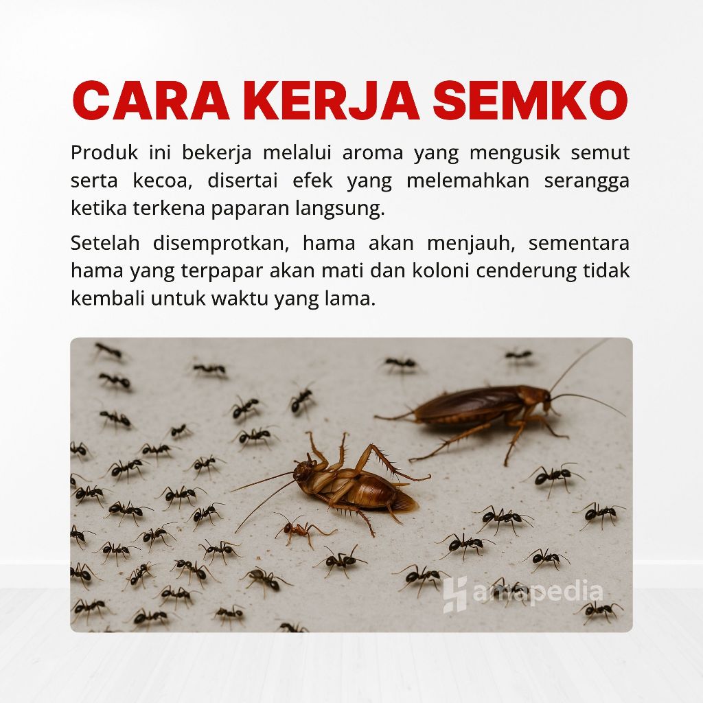 PROMO PEMBASMI SEMUT KECOA AMPUH / RACUN KECOA ANTI SEMUT RUMAH MOBIL