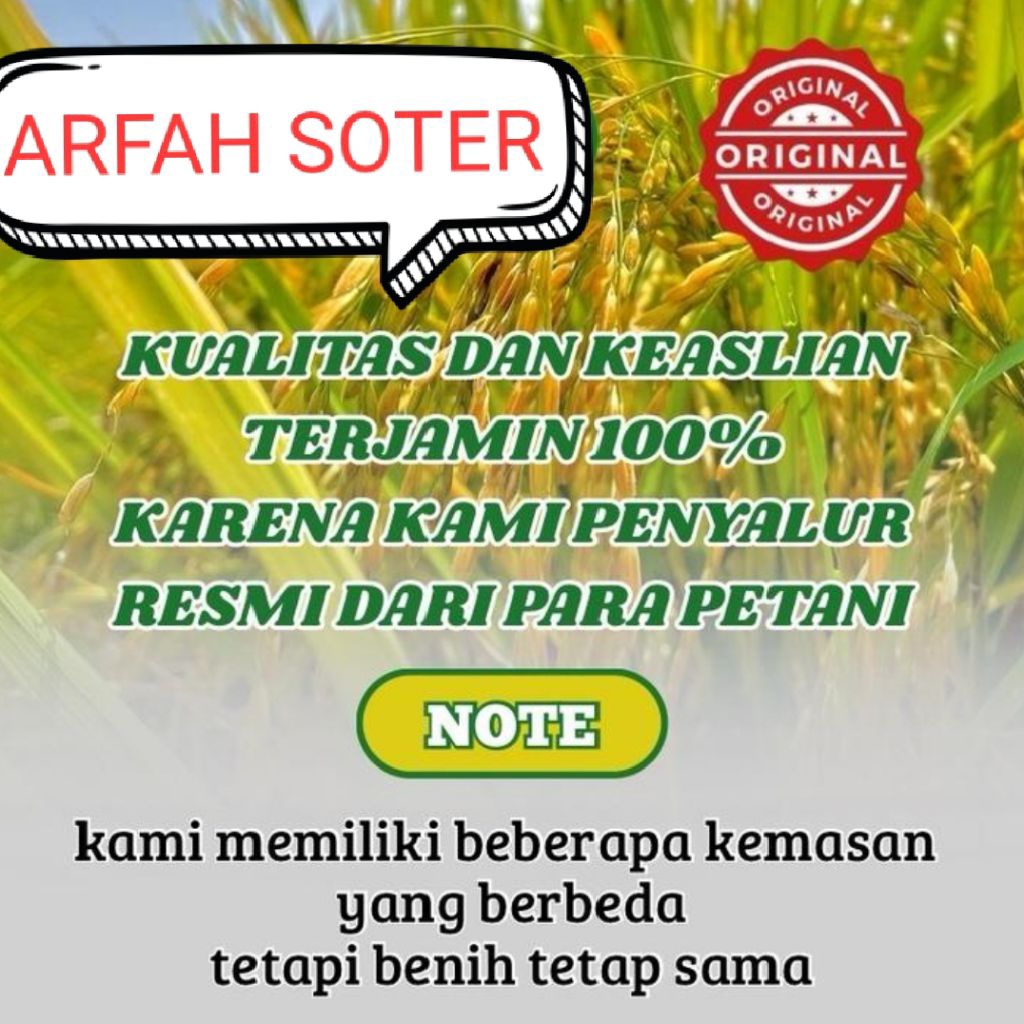 Benih Padi GOLDEN PETIR PREMIUM VIRAL (1KG)