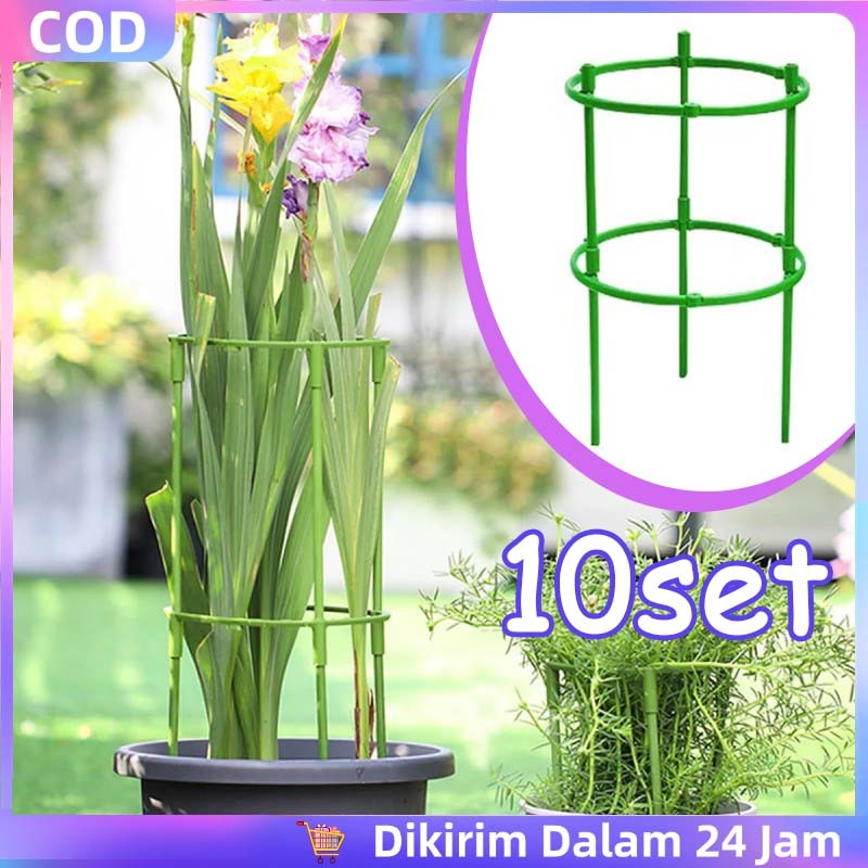 Tiang Penyangga Tanaman Pot Bunga / Plant Stake Ajir Plastik / Penyangga Batang untuk Tanaman Hortik