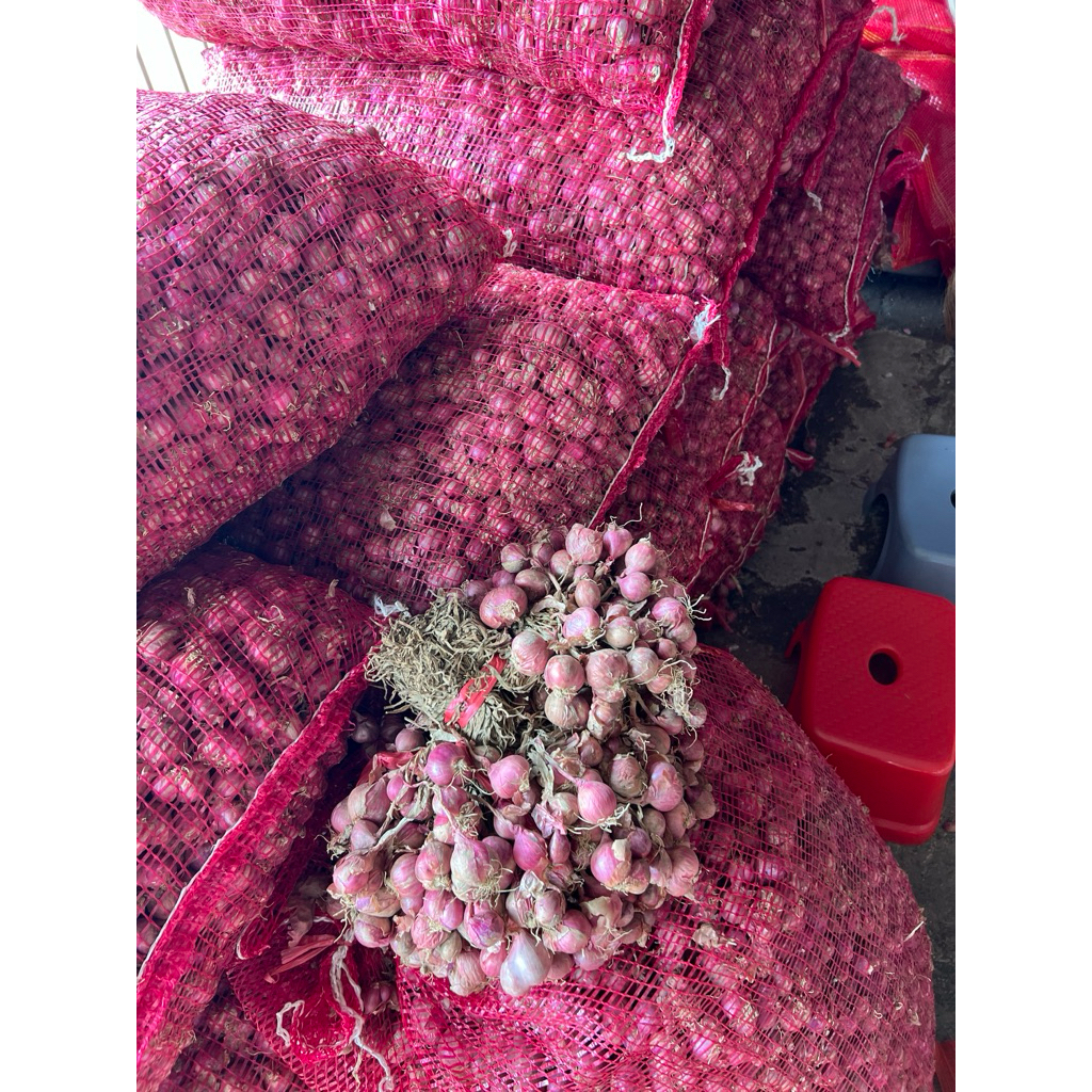 BAWANG MERAH DAUN 1KG BAWANG MERAH DAUN LOKAL