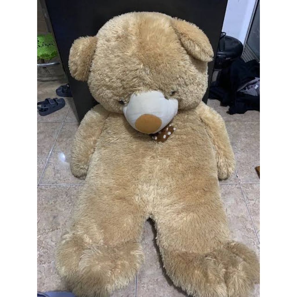 Boneka Teddy Bear JUMBO bekas