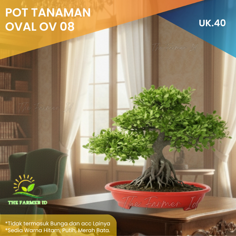 Pot Bonsai Oval 08 Bahan Plastik Tebal asli Budi Jaya