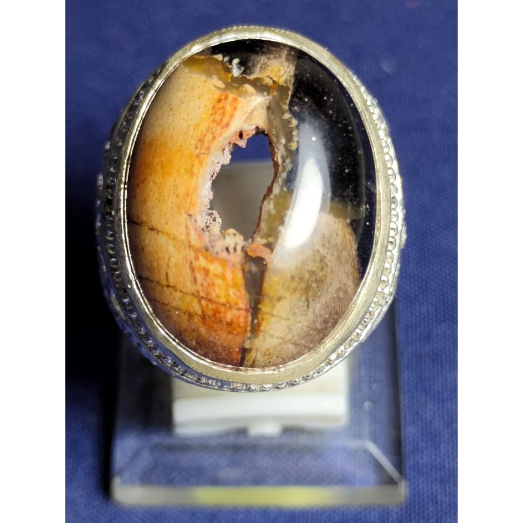 Natural Kelor Petrified Wood, MYSTIC / Batu Fosil Kayu Kelor, SAKRAL, COMBONG, 1