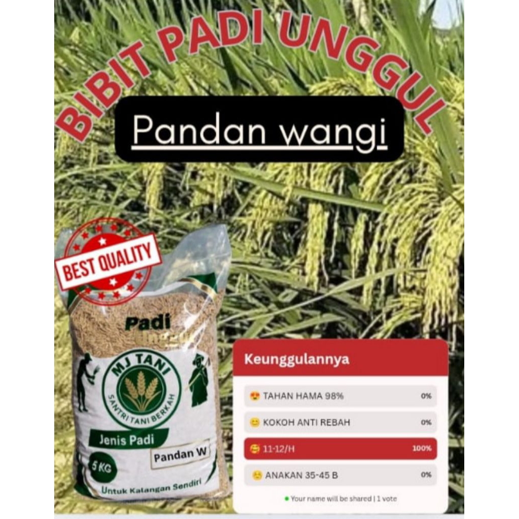 Bibit padi unggul berkualitas tinggi PANDAN WANGI kemasan 5KG