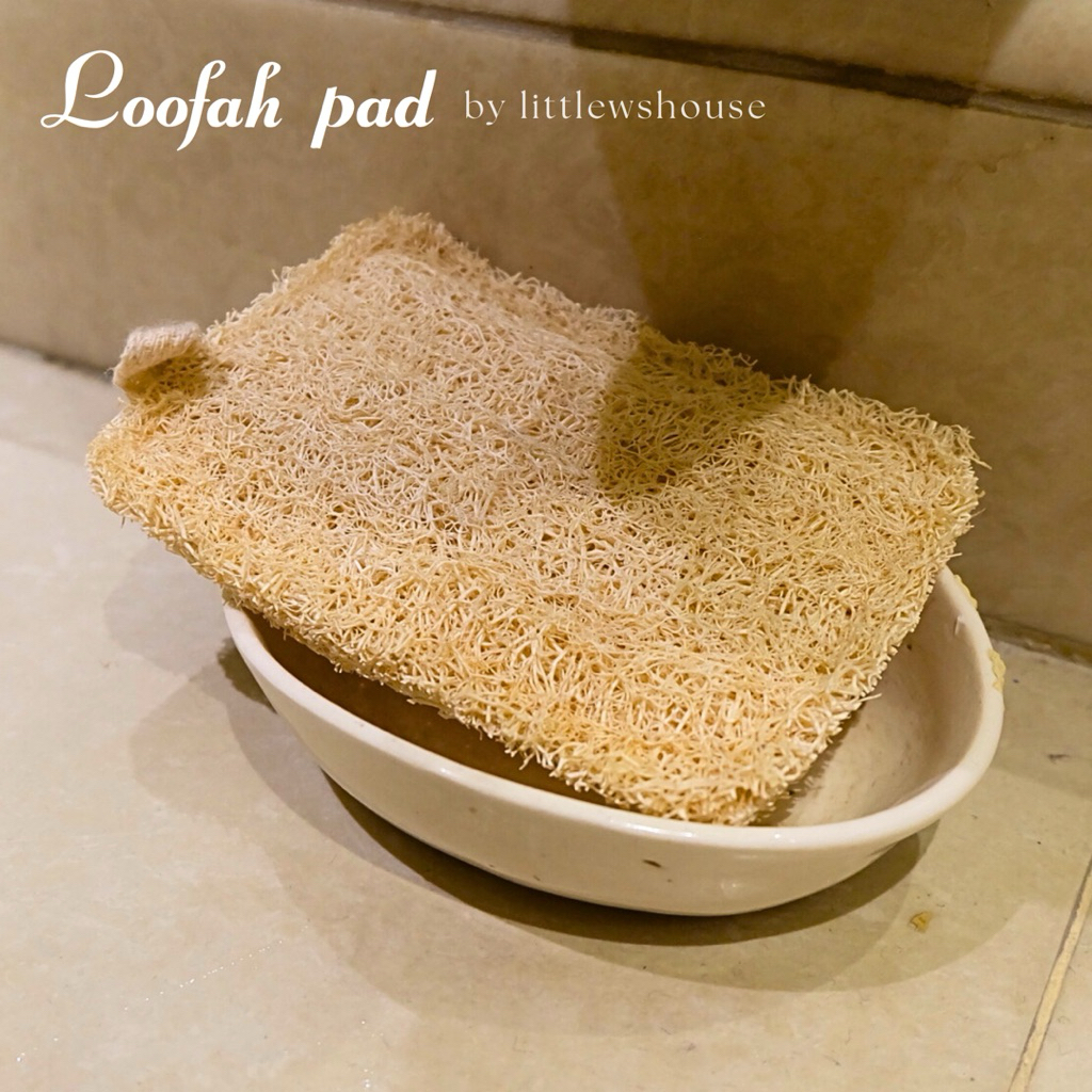 Loofah Pad / Natural Sponge mandi  100% Alami / Spons Gambas Natural Alami / Oyong Kering Zero Waste