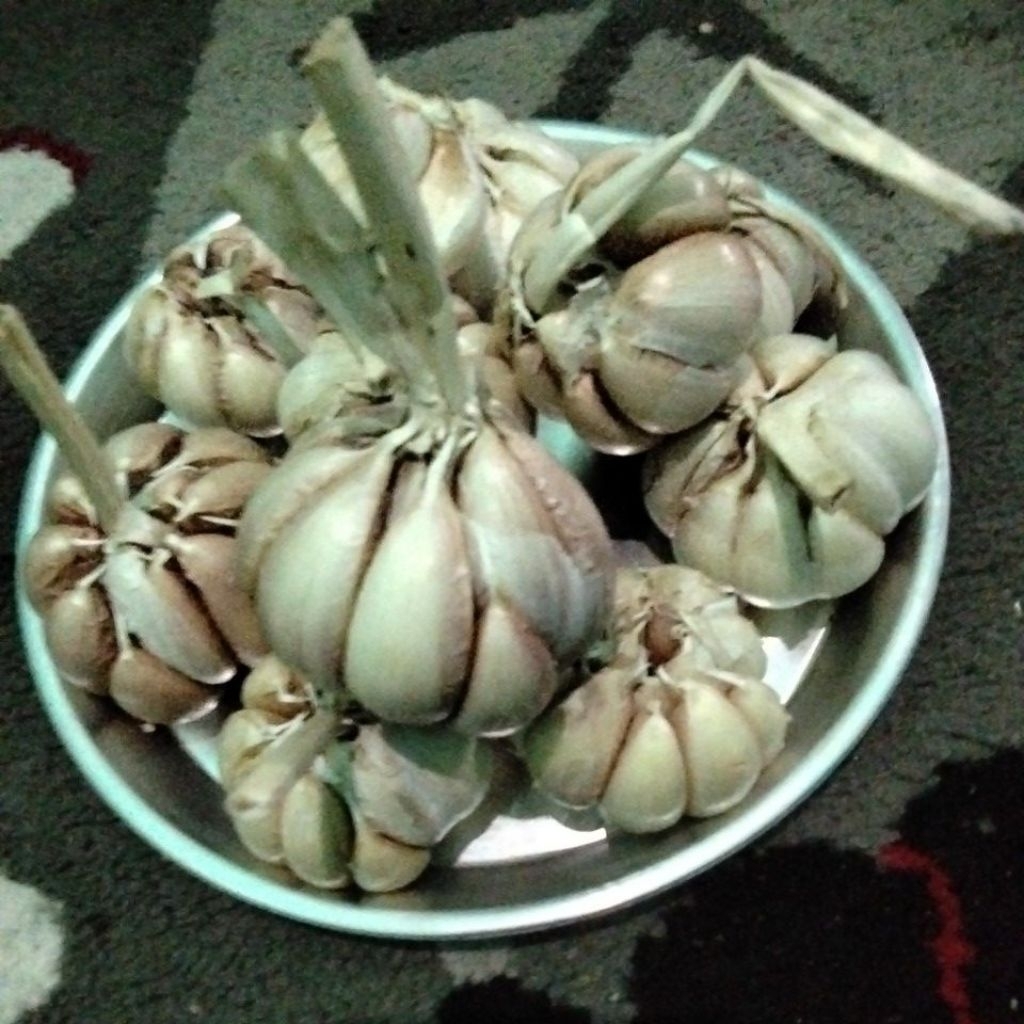bawang putih 1000 g 1kg