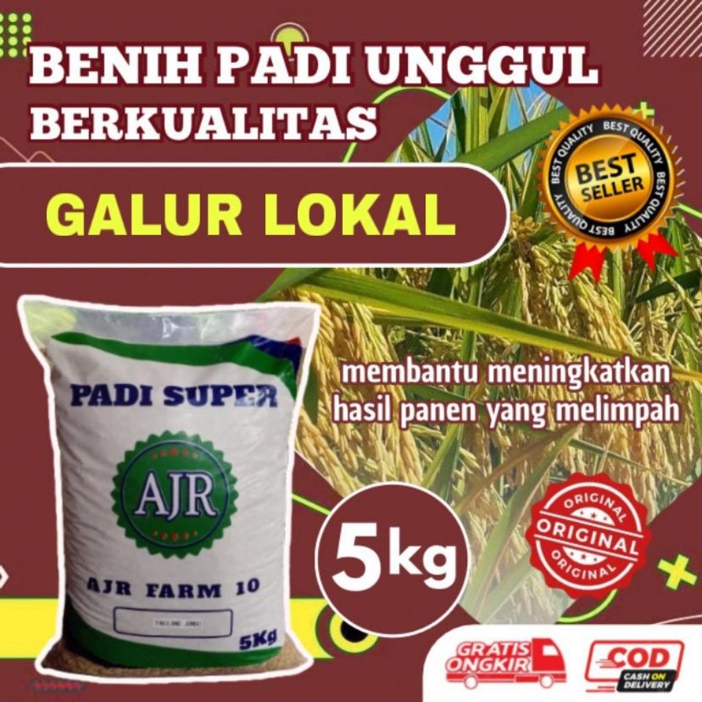 Benih padi unggul Galur lokal 5kg original