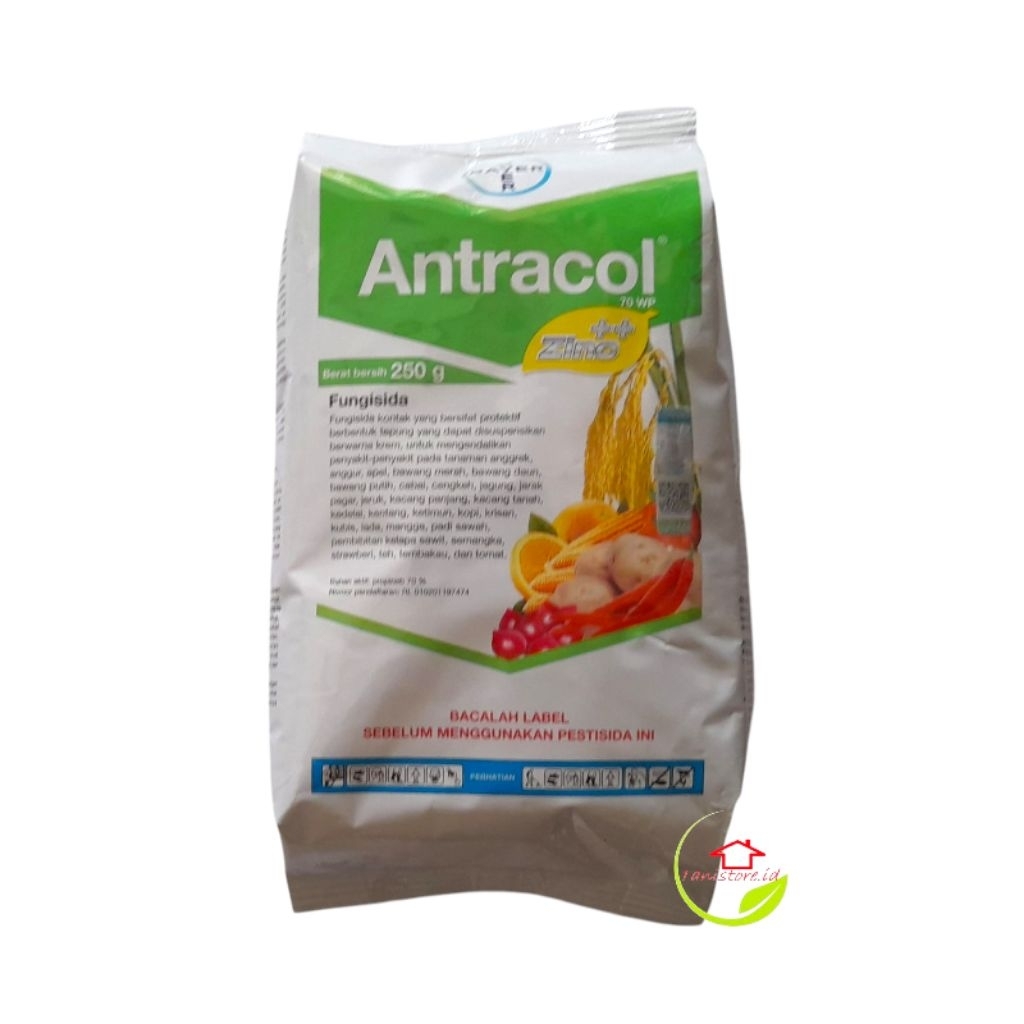 ANTRACOL 70 WP - 250 GRAM