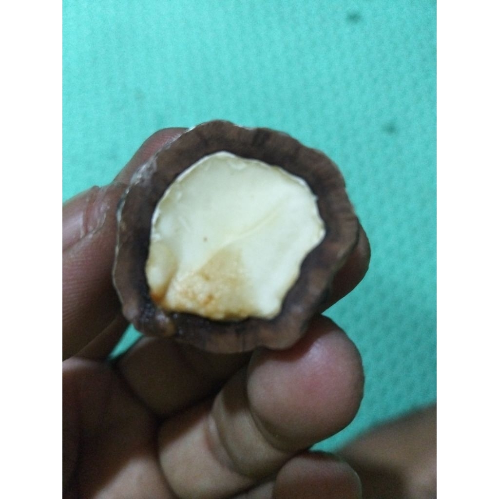 muncang aduan Eti KA jalim