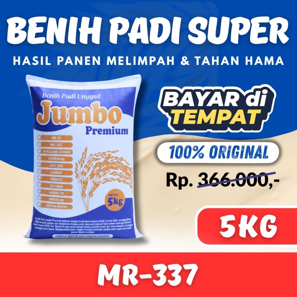 PADI UNGGUL MR 337 5 kg  PREMIUM  Benih padi mr 337 Berkualitas Super