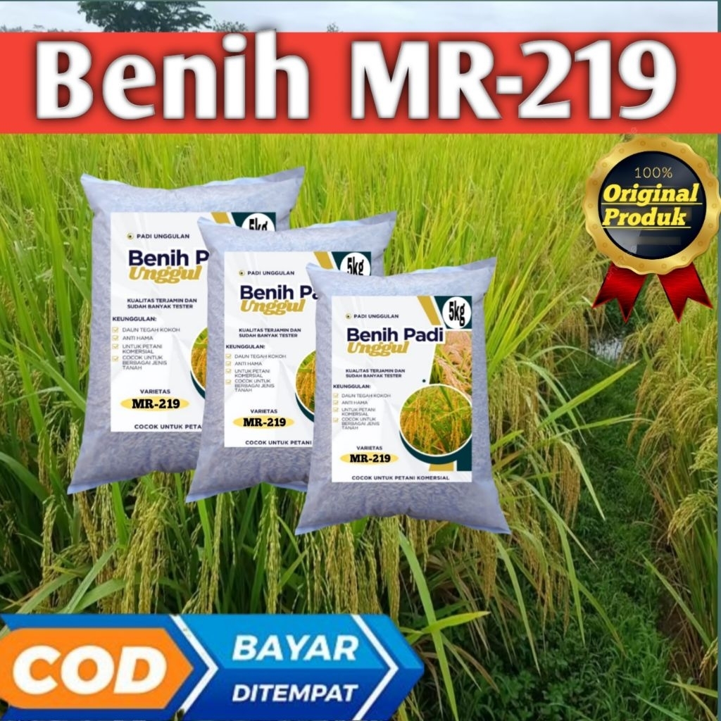 benih Padi Unggul  MR 219  MR219  5KG ORIGINAL PRODUK