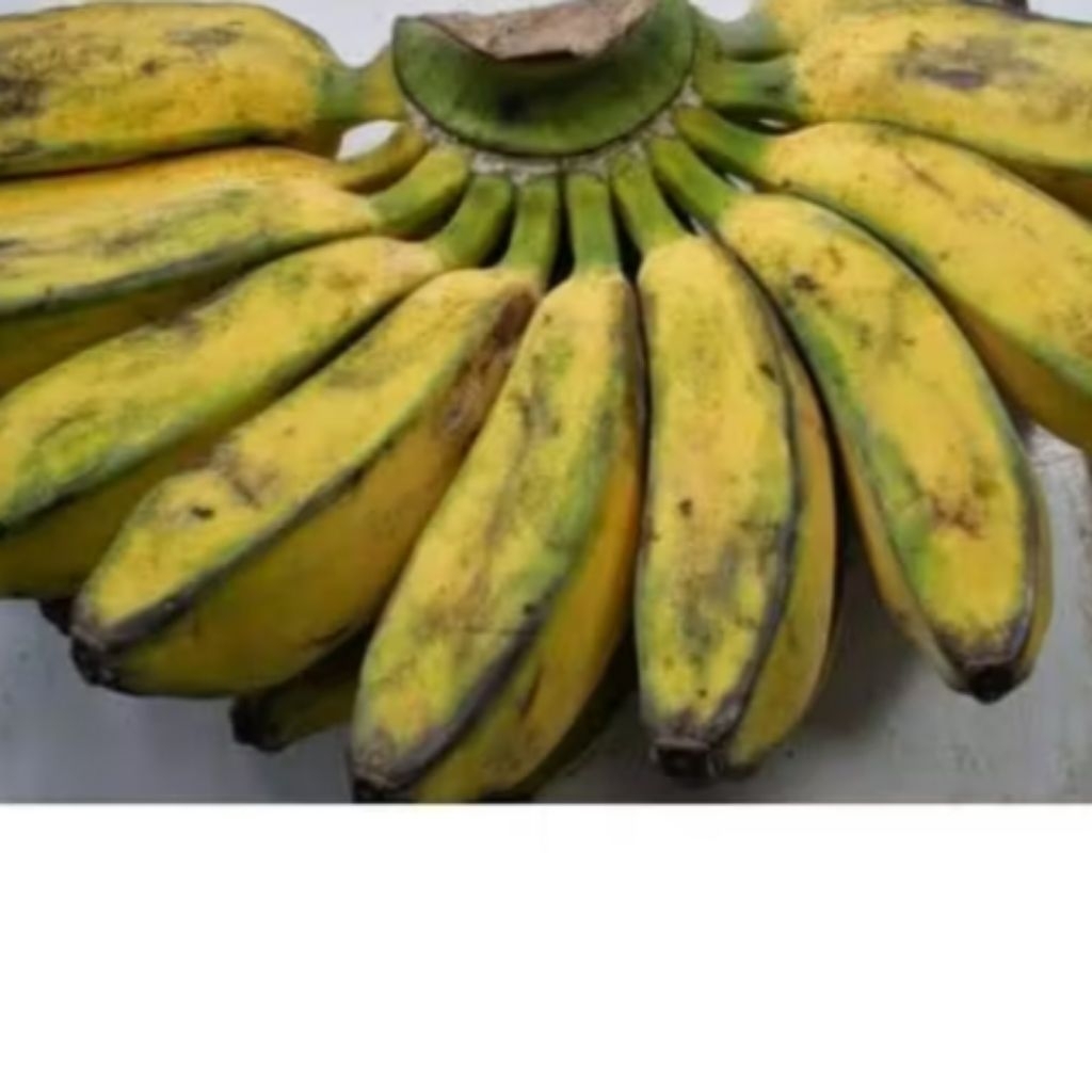 pisang kepok/pisang kepok matang/pisang kepok mentah/pisang manis/pisang segar