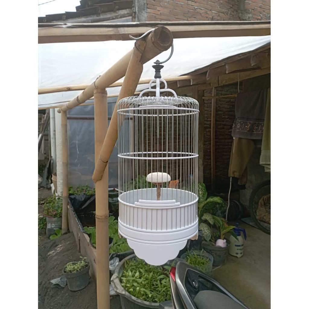 Sangkar PVC ruji galvanis d22 branjangan request'an