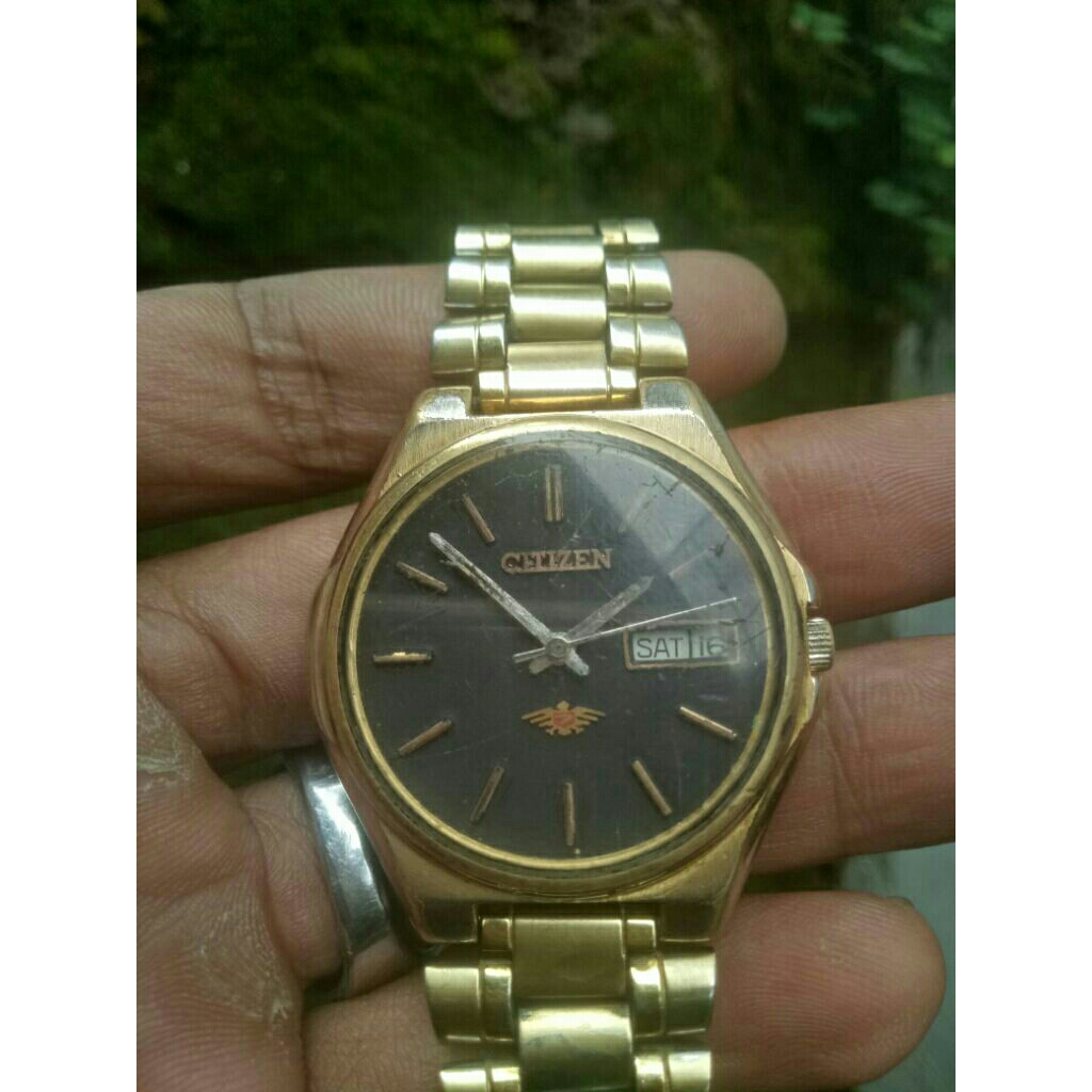 Vintage Citizen Automatic Rasa Superior Original