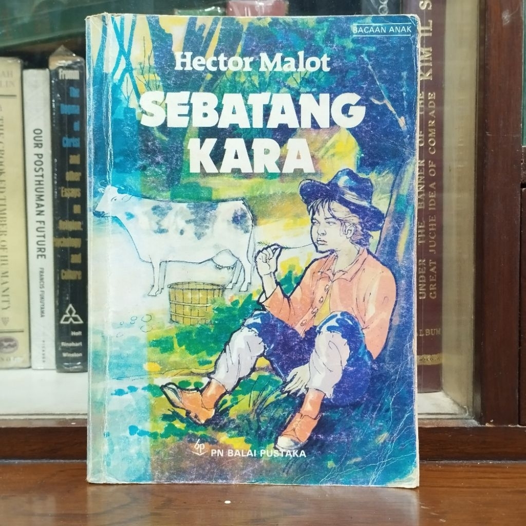 Sebatang Kara by Hector Malot - Bacaan Anak