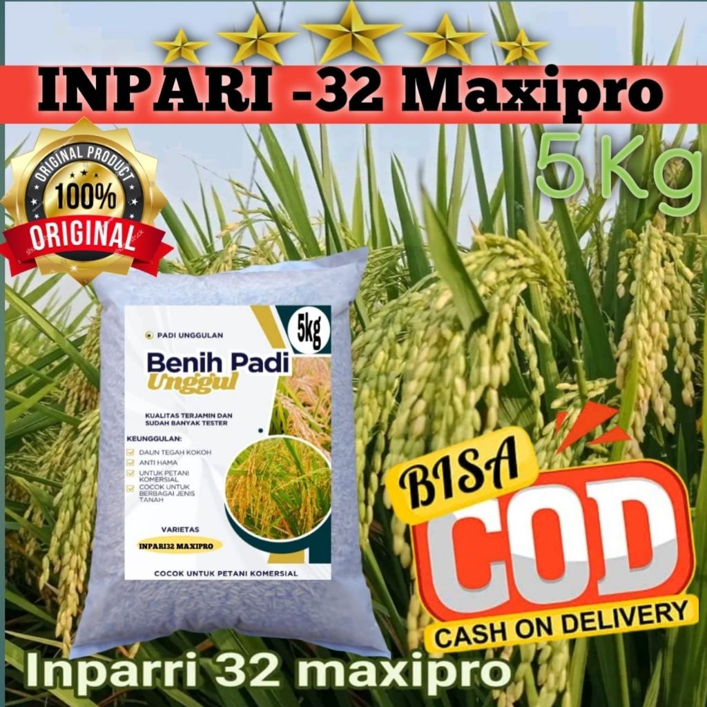 BENIH PADI MAXIPRO BERKUALITAS UNGGUL 1KG