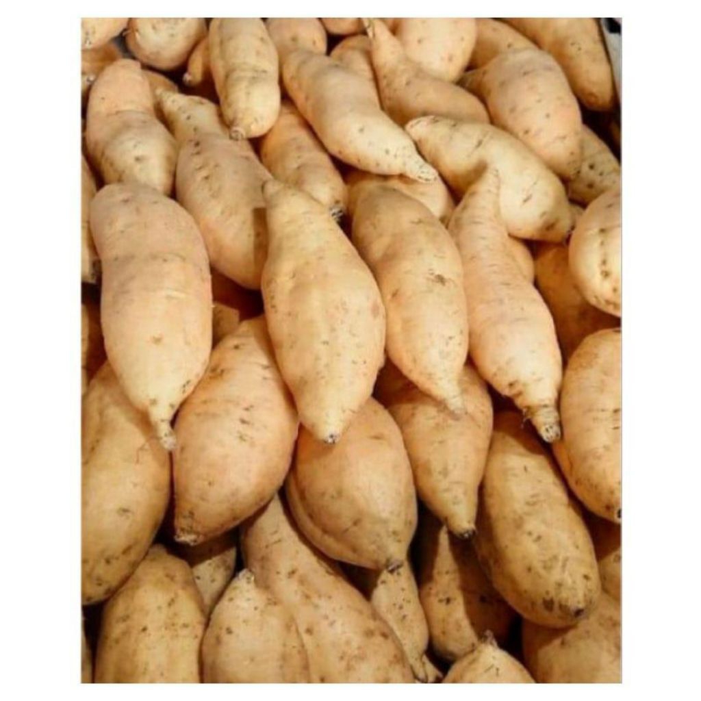 Ubi Cilembu Mentah 1 KG