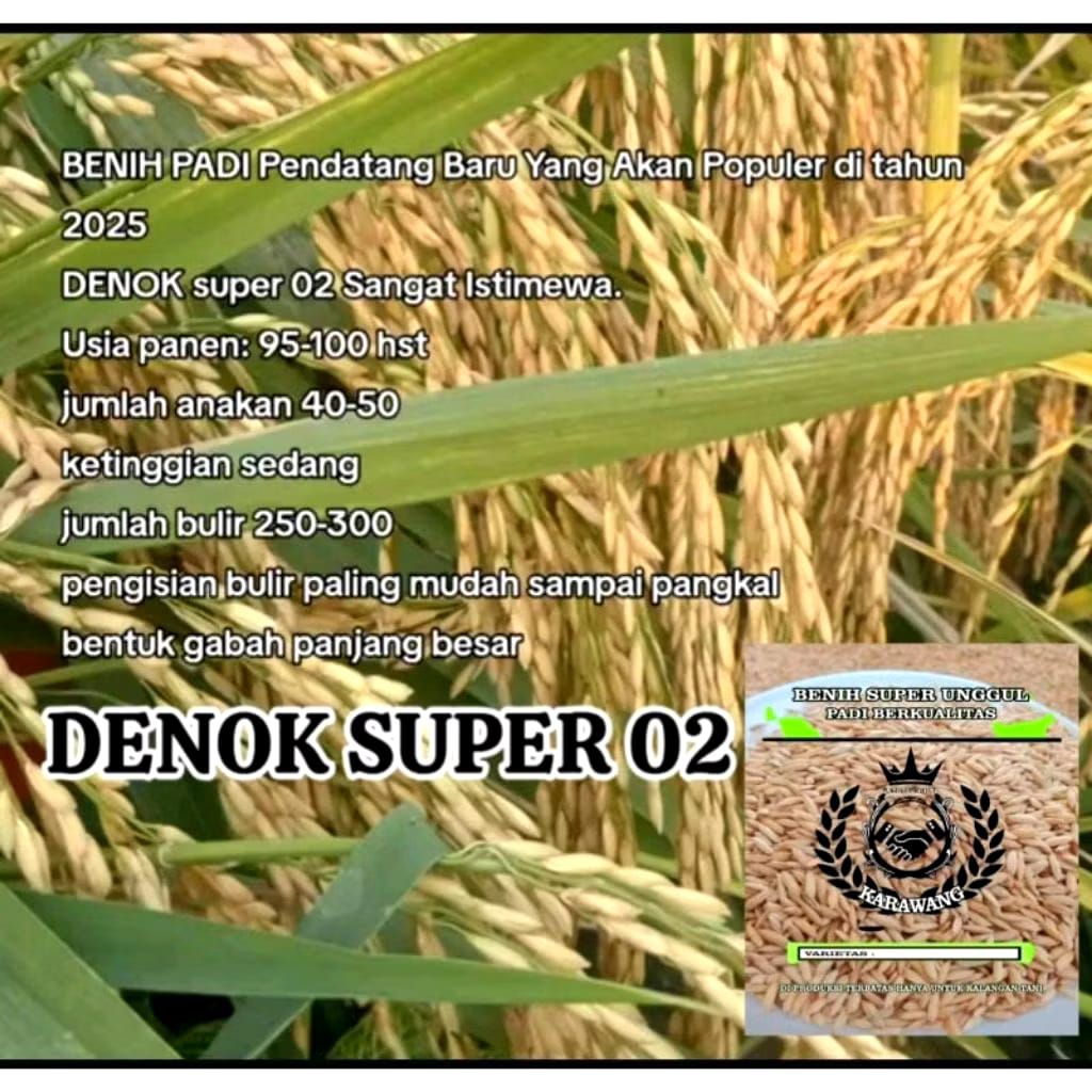 BENIH PADI DENOK SUPER KEMASAN 1KG