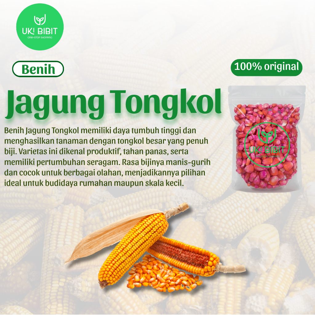 ( 15 Butir ) Benih Biji Jagung Tongkol 2 | Jagung Dua Tongkol