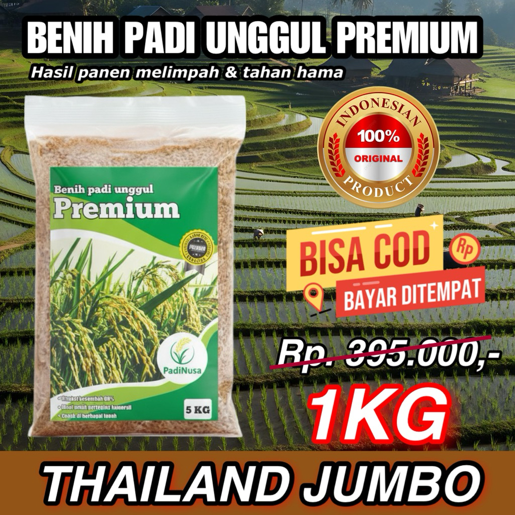 PadiNusa - PADI UNGGUL THAILAND JUMBO 1 KG PREMIUM Benih padi Thailand Jumbo  kemasan 1kg Berkualita