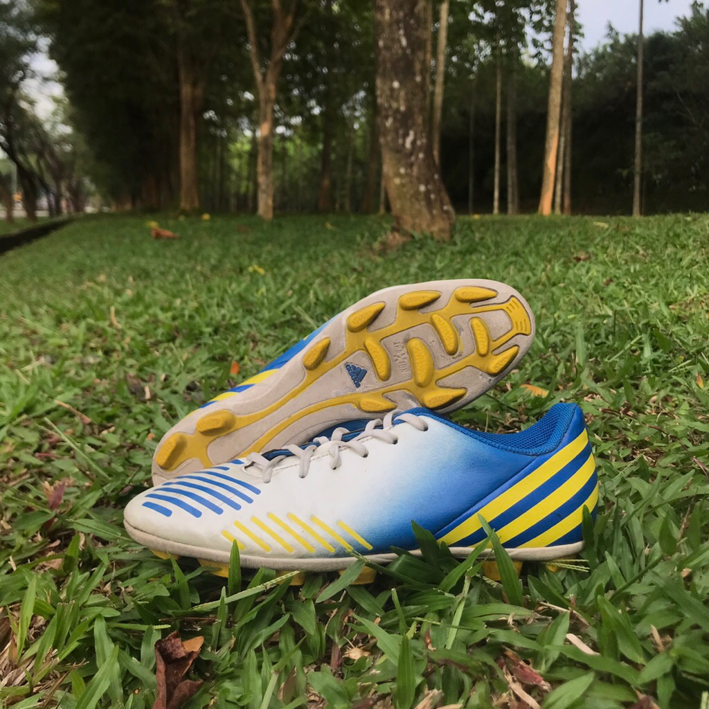 Adidas Predator Predito LZ TRX HG