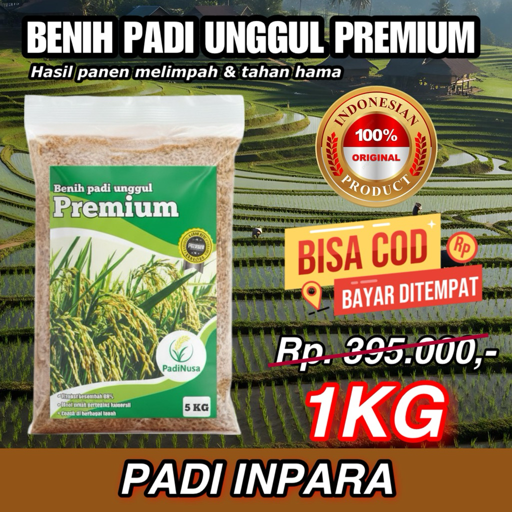 PadiNusa - Benih padi unggul INPARA padi rawa 1KG original