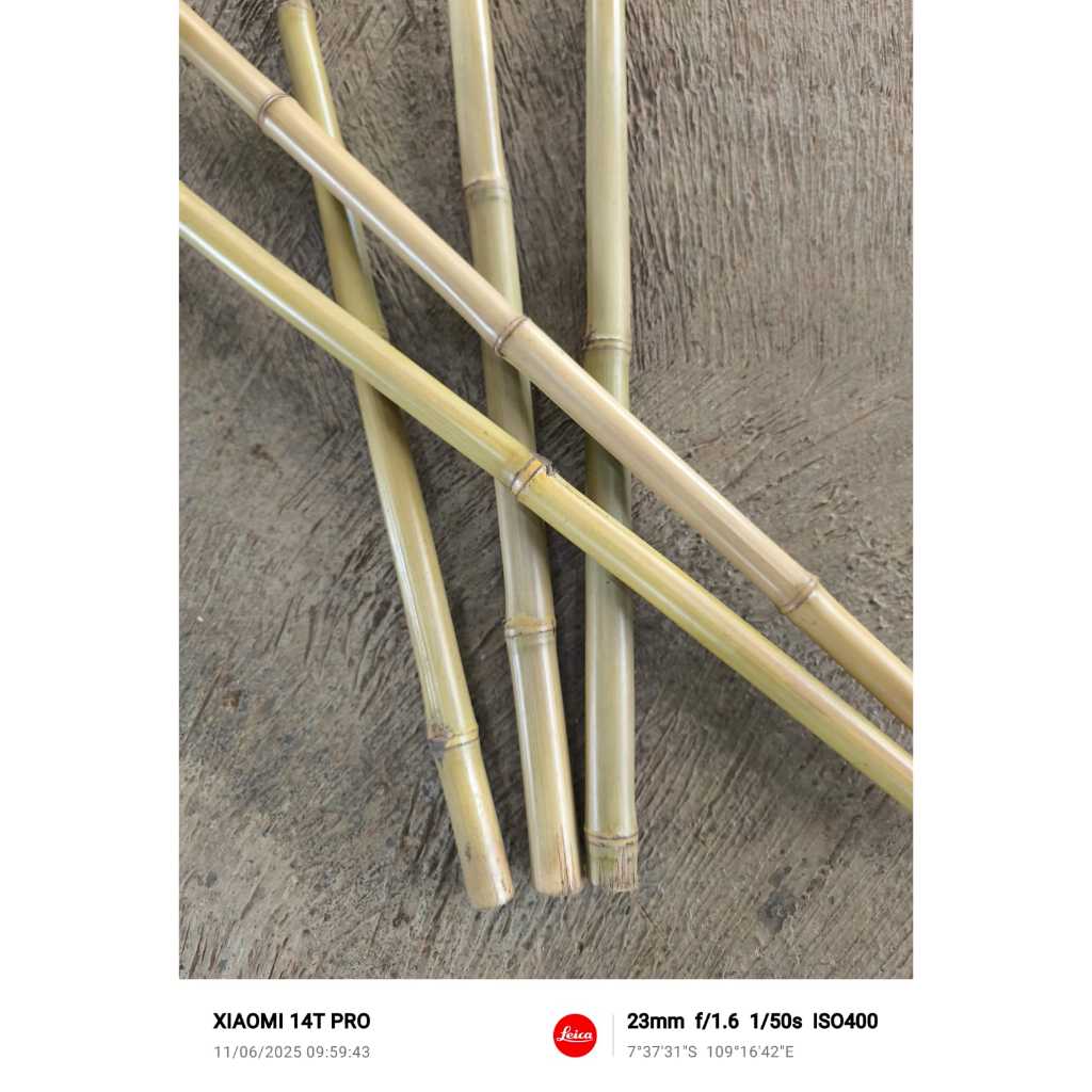 sell Bamboo ajir tanaman 150cm