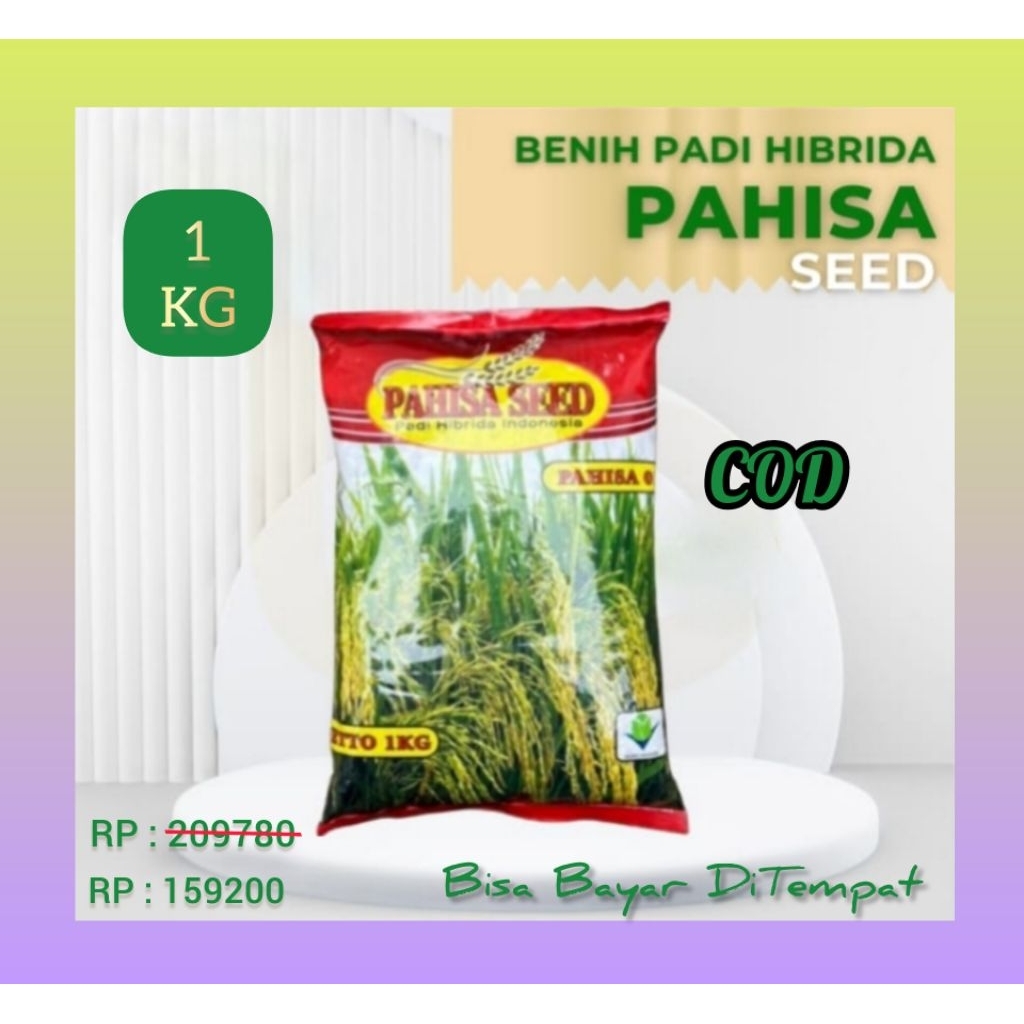 BENIH PADI HIBRIDA PAHISA SEED 1KG