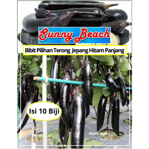 Bibit Pilihan Terong Jepang Hitam Panjang| Biji Benih Terong Jepang Hitam | Terong Hitam Jepang