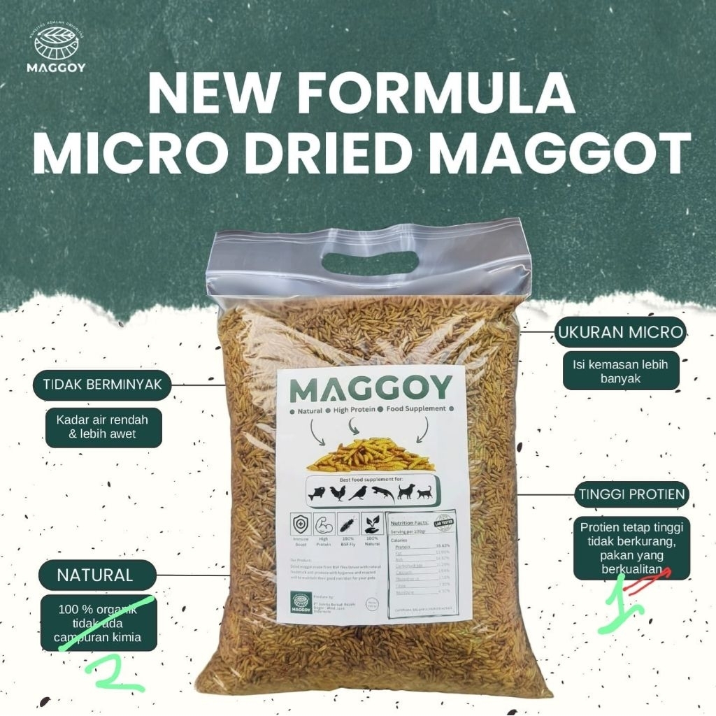 Magot kering 1kg maggot kering maggot