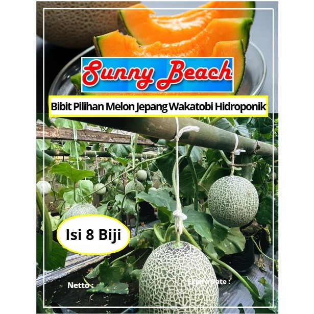 Bibit Pilihan Melon Jepang Wakatobi Hidroponik | Biji Benih Melon Wakatobi | Melon Jepang Wakatobi