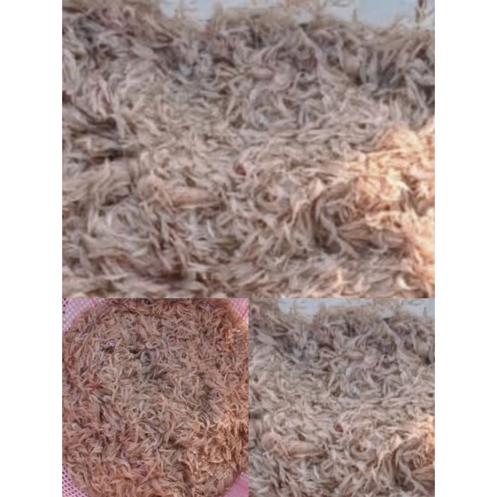 Udang Rebon Basah Segar/Beku -1 kg