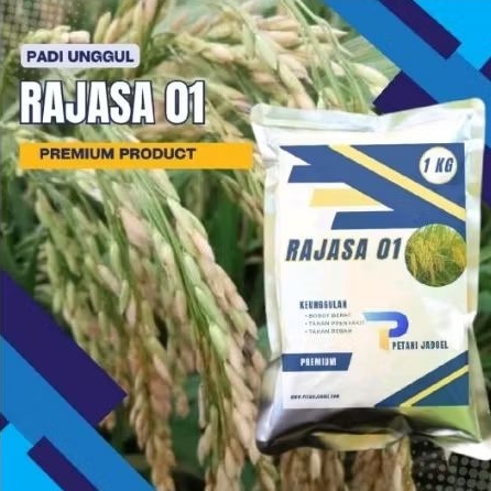 Benih padi unggul rajasa 01 original 1-5kg