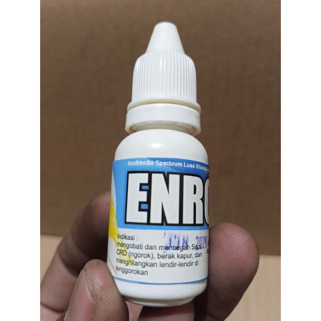 ENRO-B antibiotik spectrum luas kusus ayam aduan dan burung