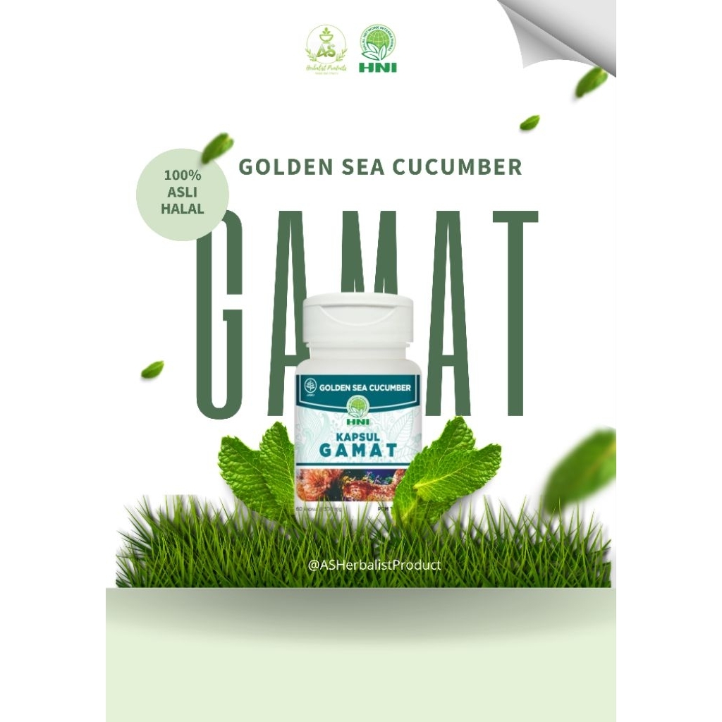 Kapsul Gamat HNI