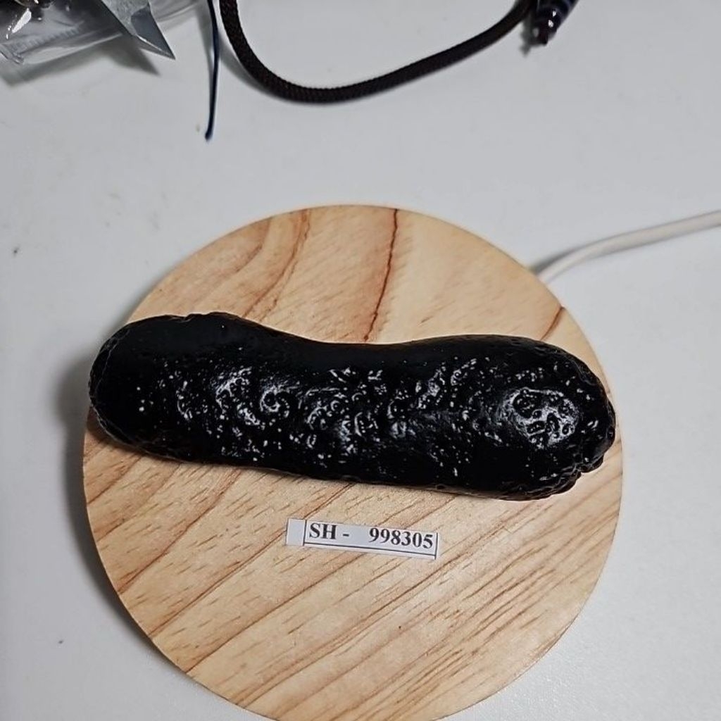 TEKTITE METEORITE ROUGH ASLI HQ TANPA MEMO