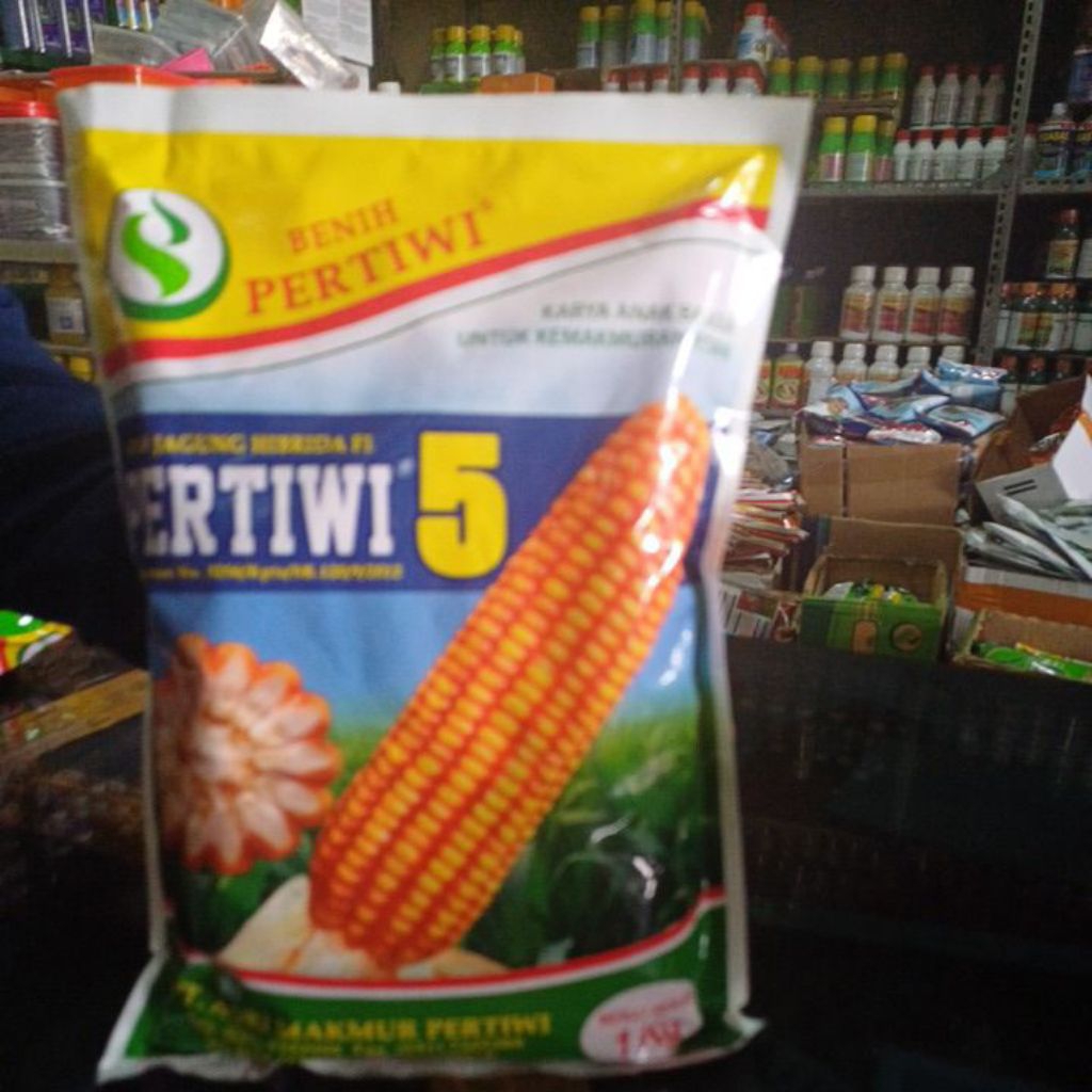 benih jagung hibrida f1 pertiwi 5 isi 1 kg
